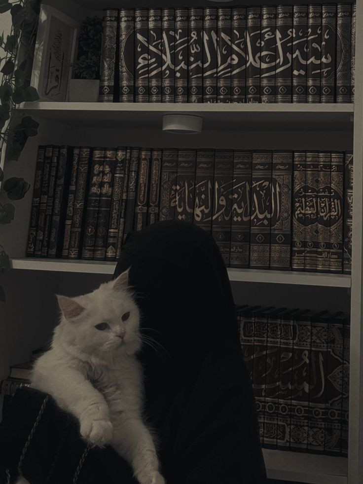 islamic-dp-couple-for-whatsapp