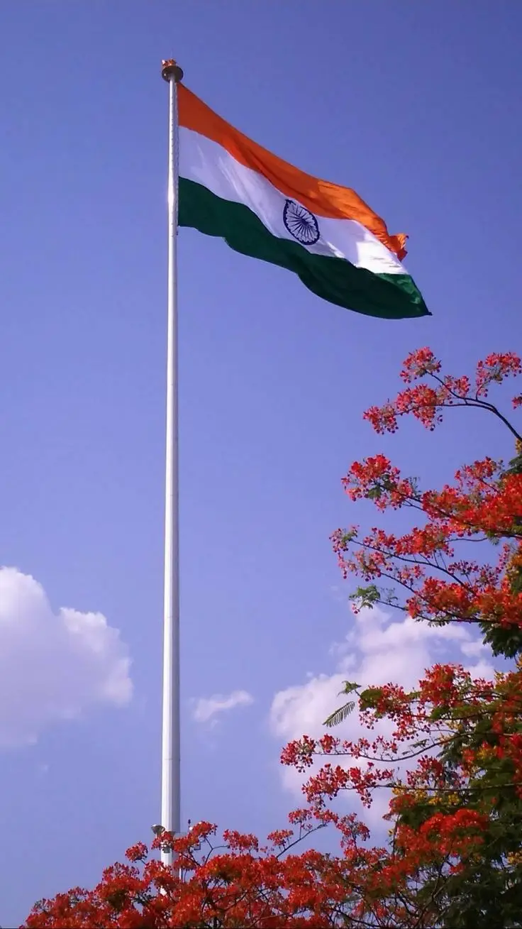 tiranga-dp-c-name